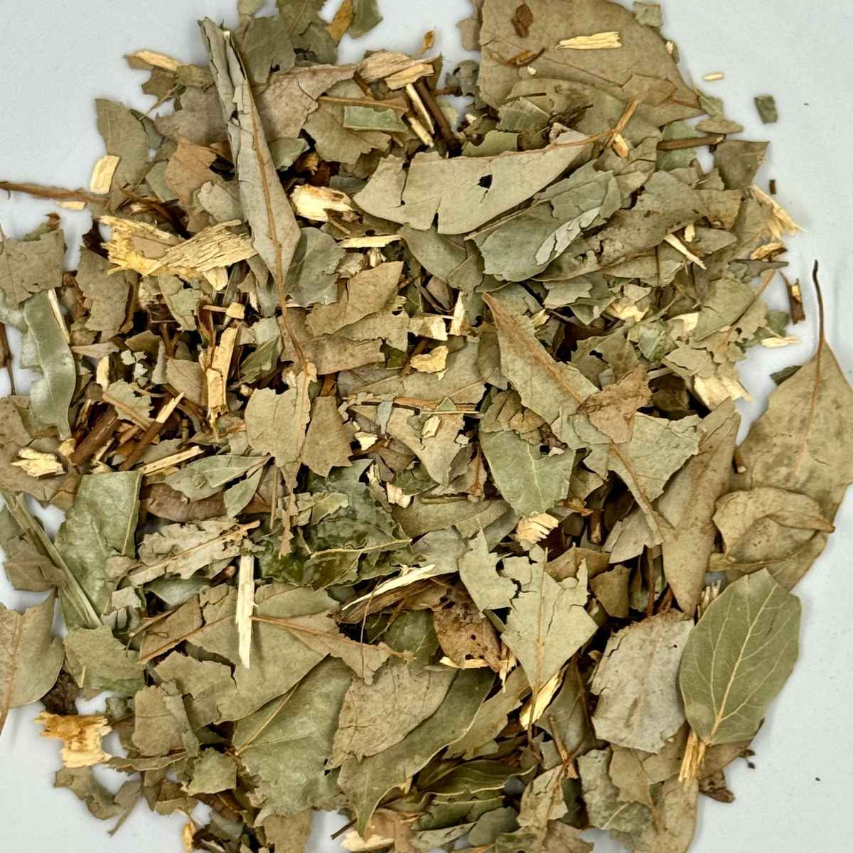 Alcanfor
