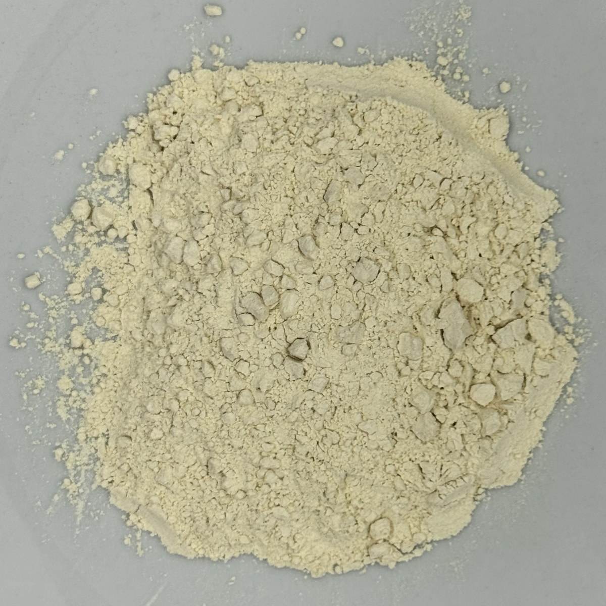 Cebolla en polvo premium