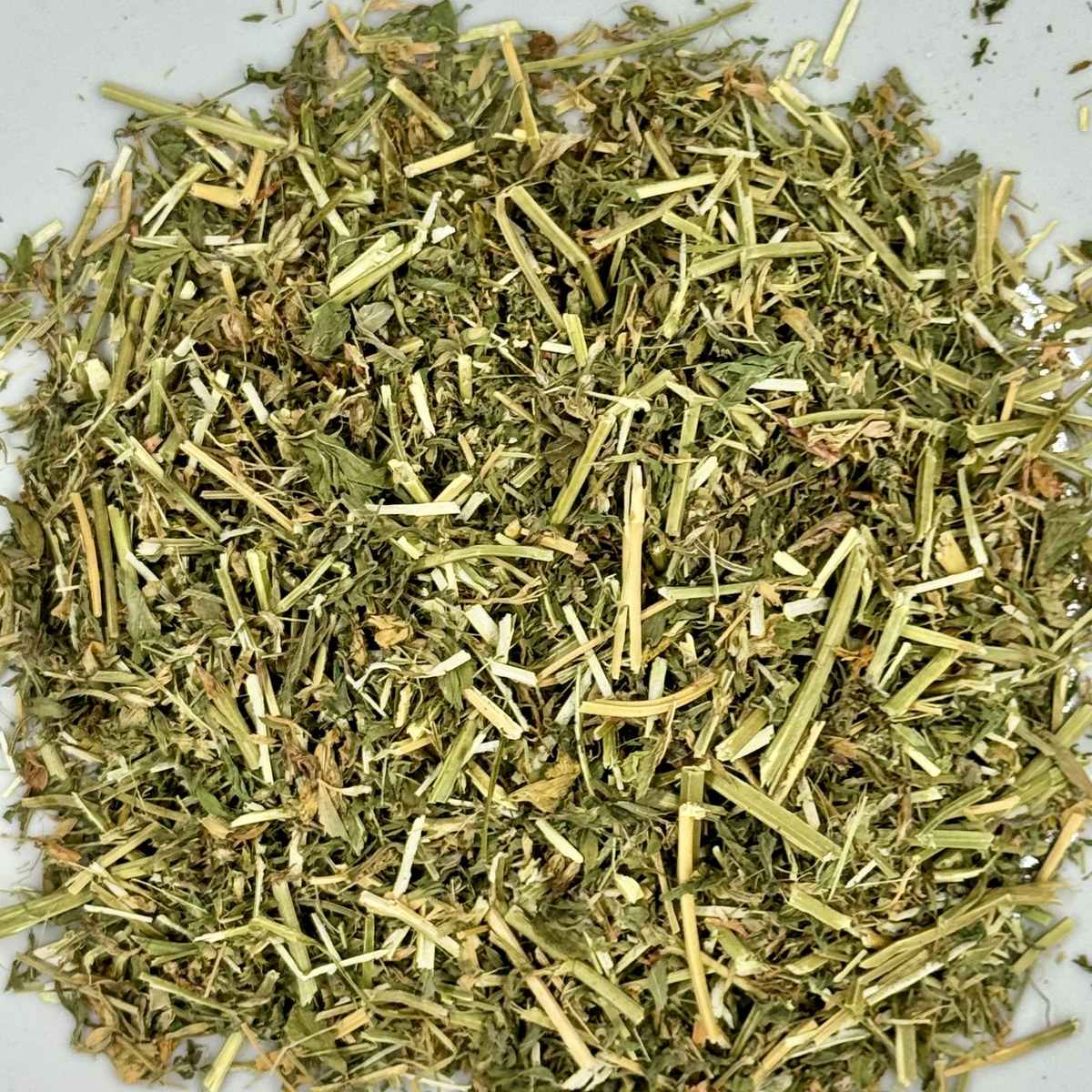 Alfalfa