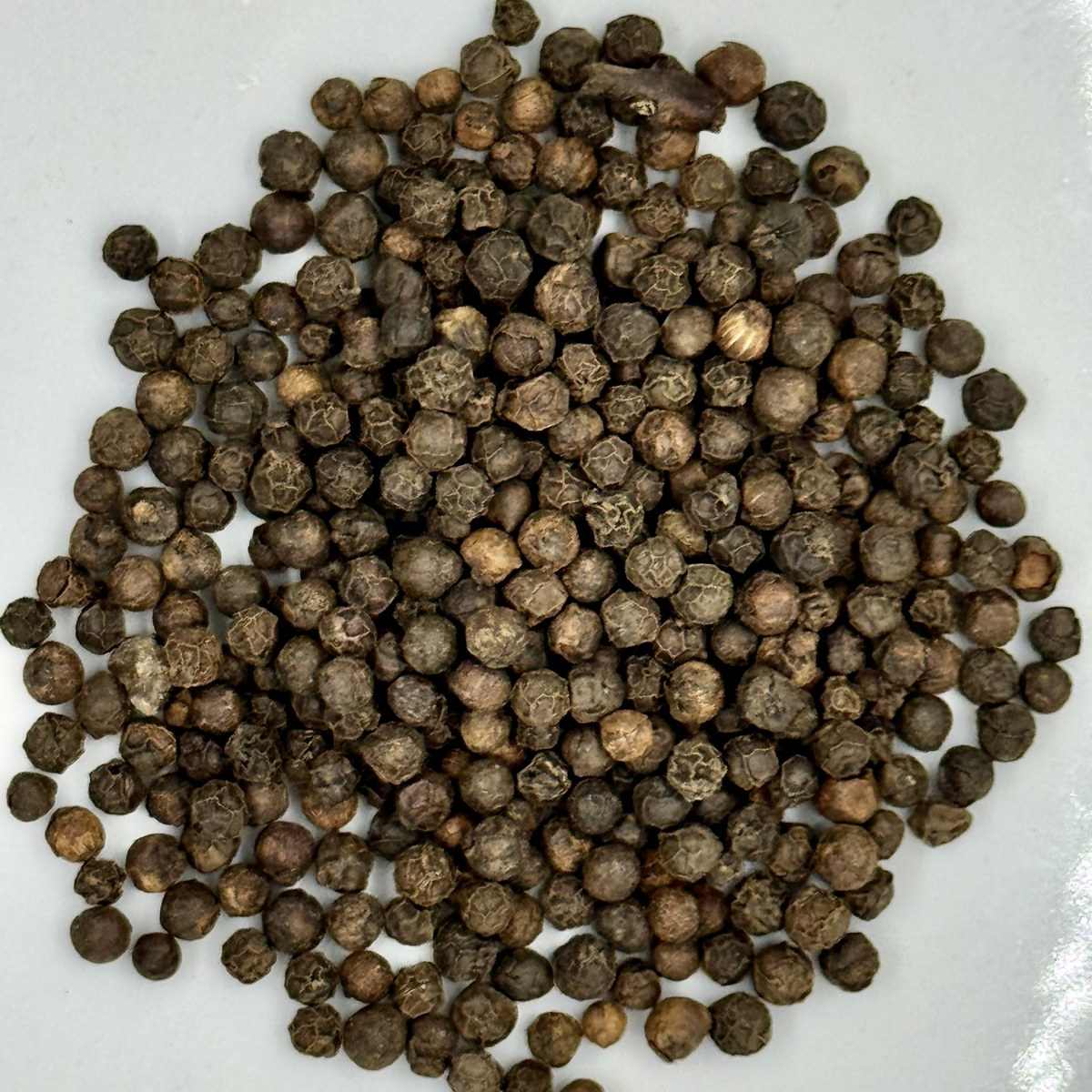 Pimienta negra en grano