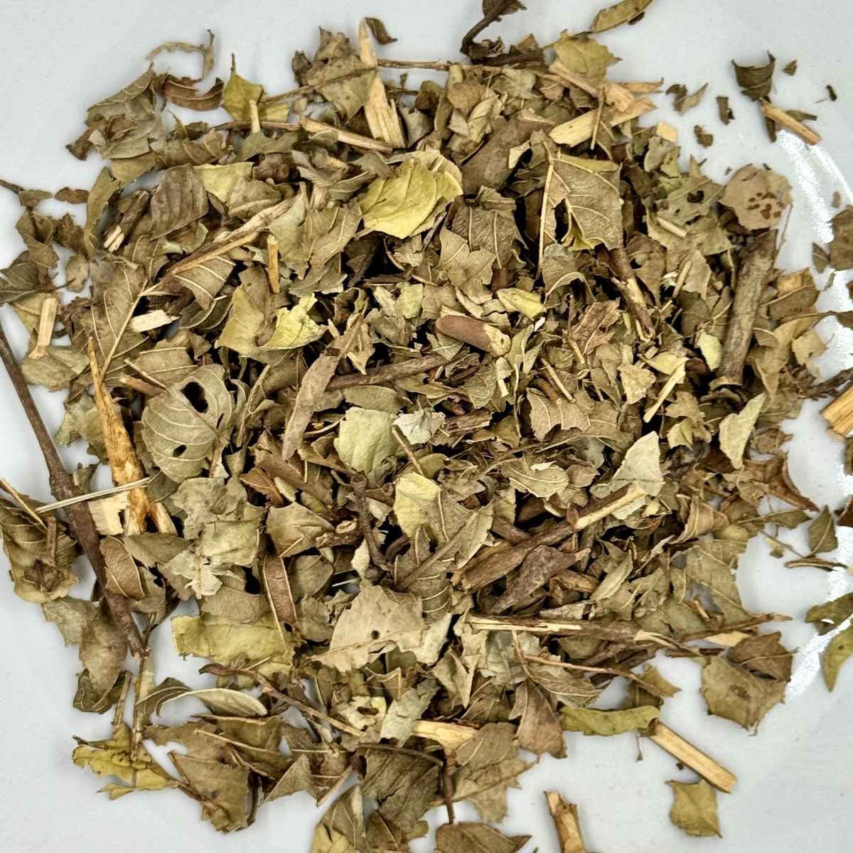Guayabo hojas