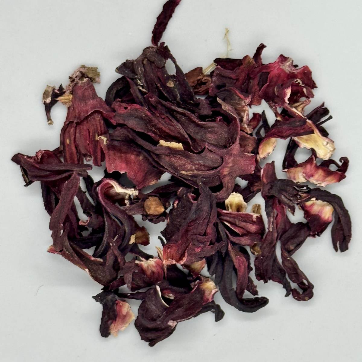 Hibiscus
