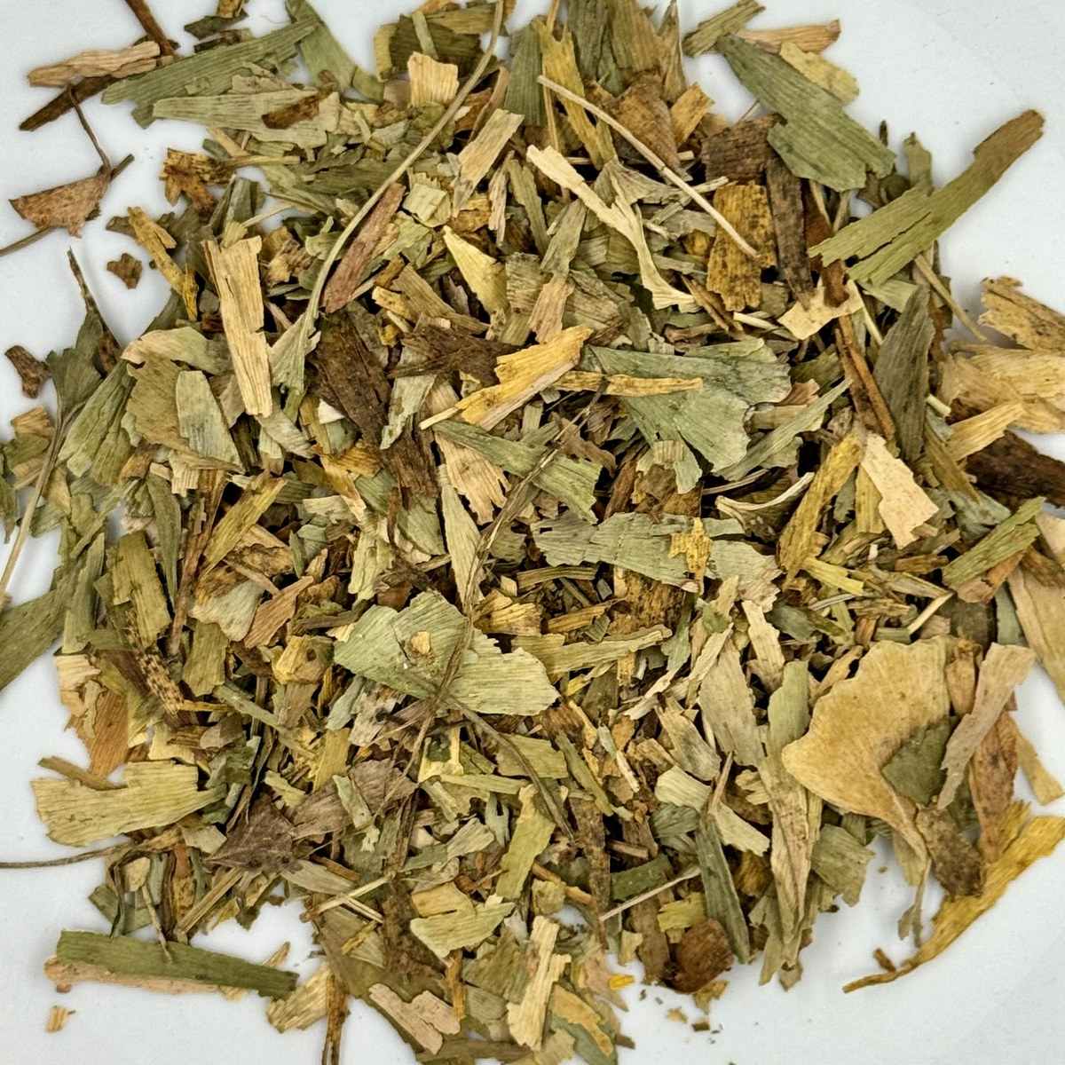 Ginkgo biloba