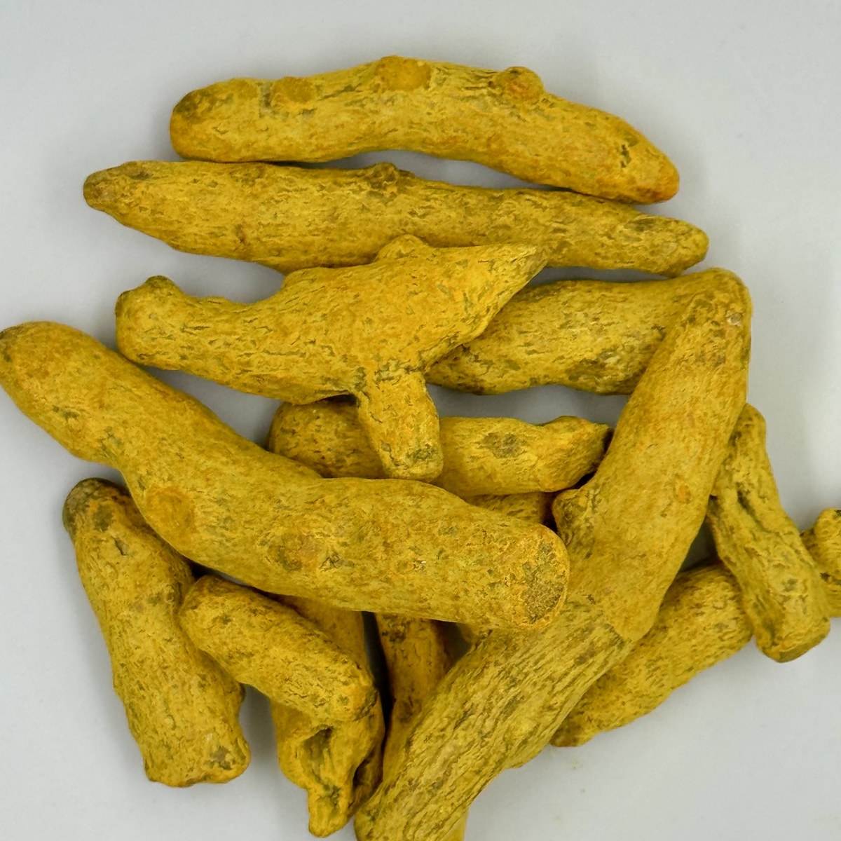 Curcuma raíz