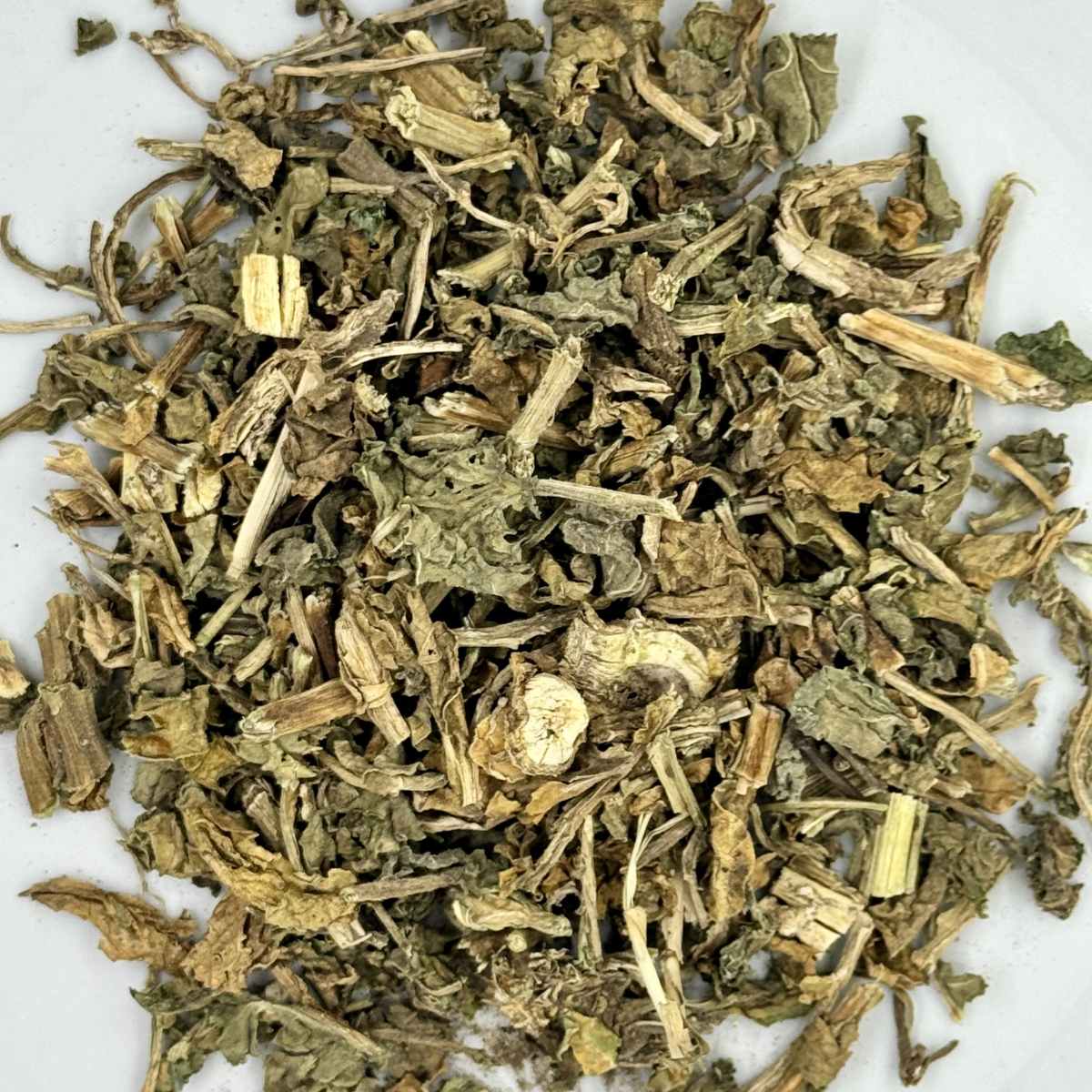 Coclearia