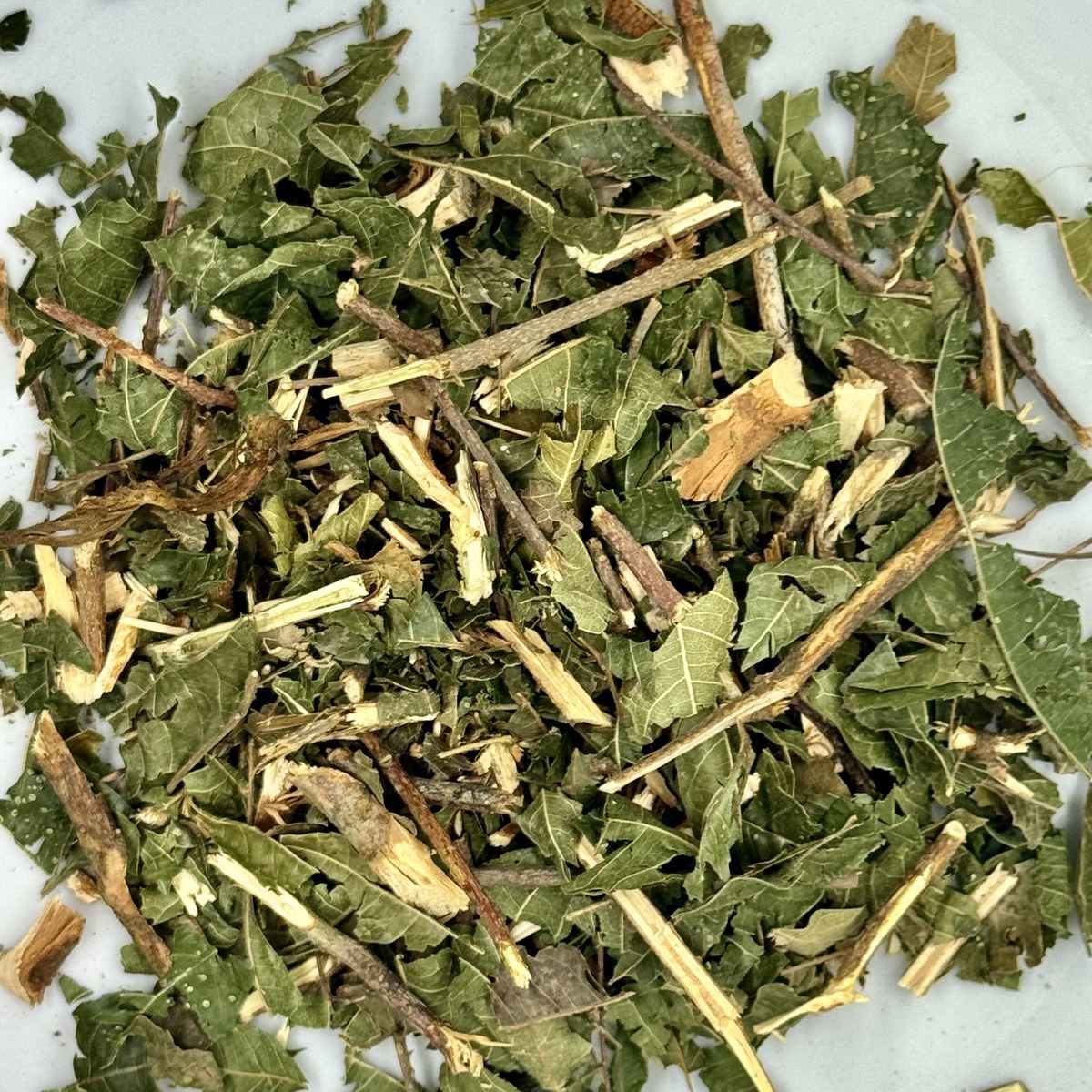 Cocu hojas