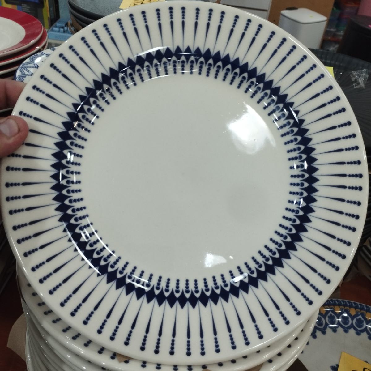 Plato Buzios Porcelana